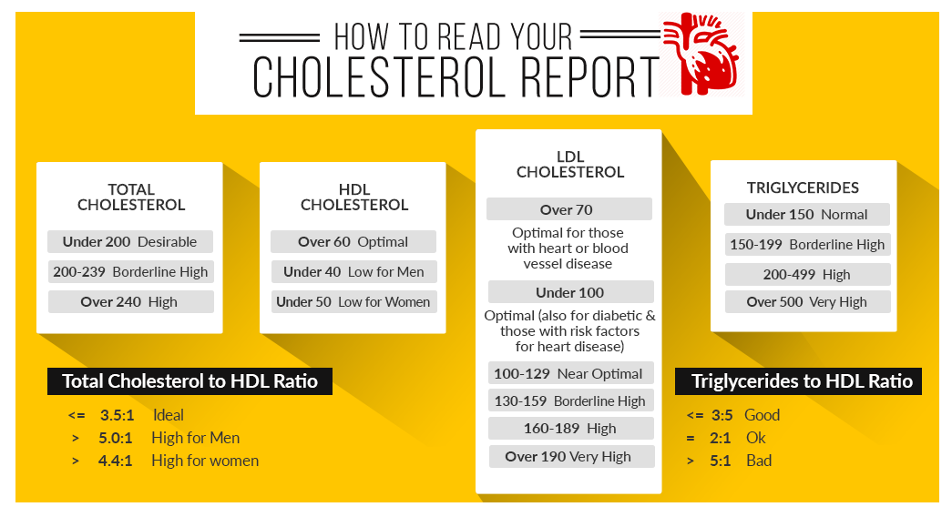 Demystifying Cholesterol All About LDL HDL Triglycerides