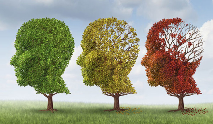 Treat Alzheimer's with Ayurveda, Naturopathy, and Homeopathy