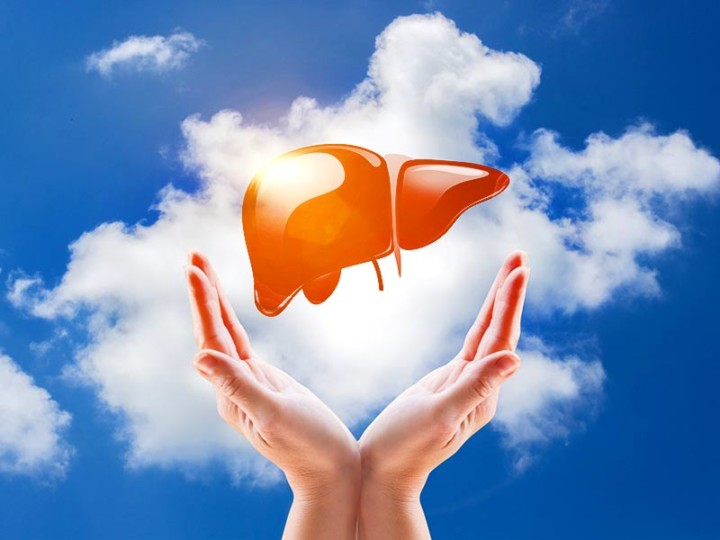 Concentrate on the Health of Your Liver for Healthy Life