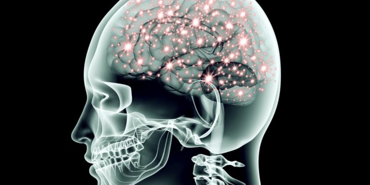 The Role of the Vagus Nerve in your Health